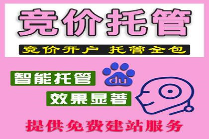 案例解析：SEM代运营服务公司助力企业精准营销